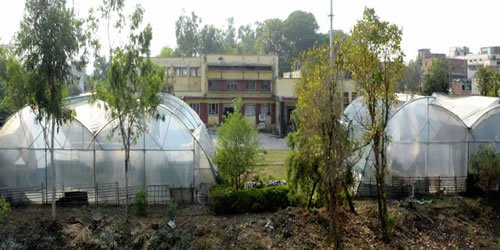 Dehradun Dugdh Utpadak Sahakari Sangh Ltd.